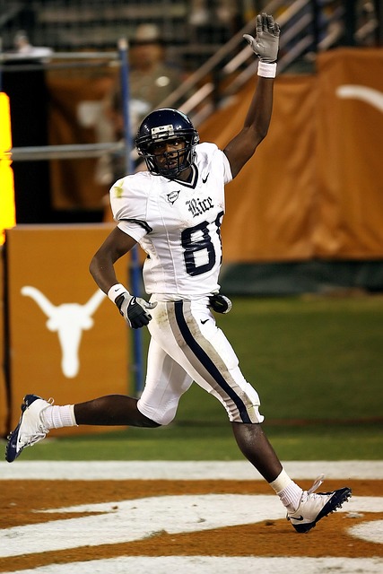 球迷的心 球迷的心